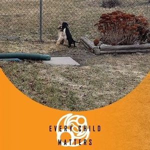 Meet your Posher, Doug